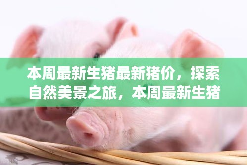 精品展示 第303页