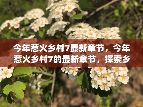 新闻中心 第291页