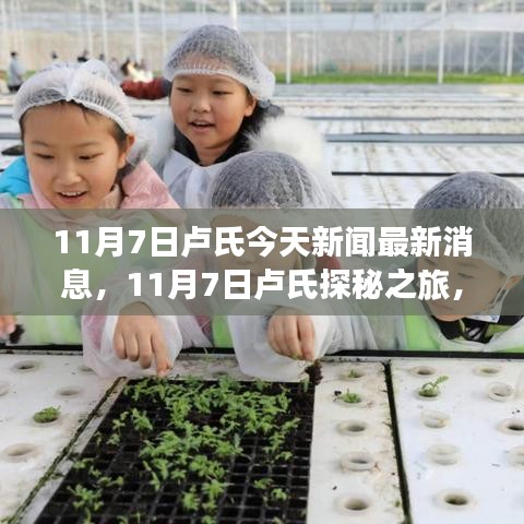 营销网络 第316页
