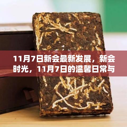 联系我们 第331页