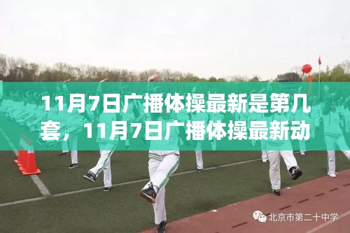 11月7日广播体操最新动态，全新套数焕发活力