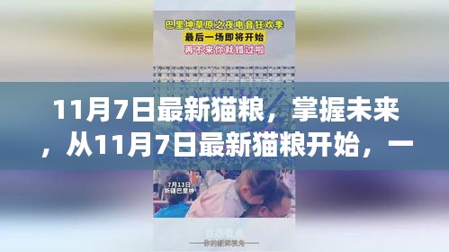 励志猫步人生，从掌握最新猫粮开始启程的猫咪成长之旅