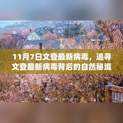 文登最新病毒探寻之旅，自然秘境的心灵之旅
