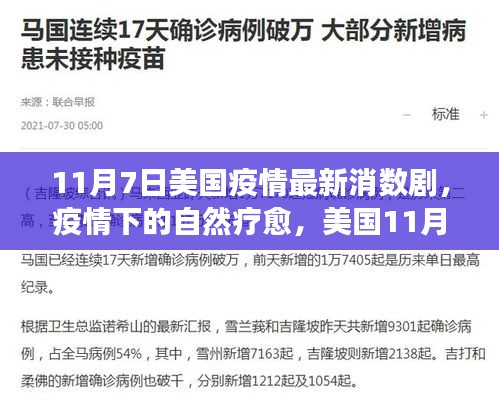 关于我们 第301页