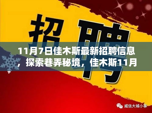 佳木斯11月7日招聘信息揭秘，巷弄秘境中的职业机会探索