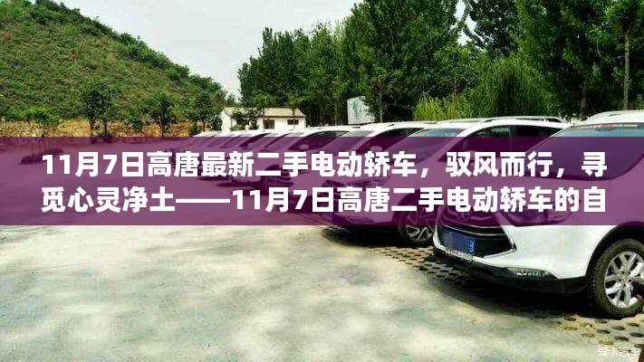 在线留言 第303页