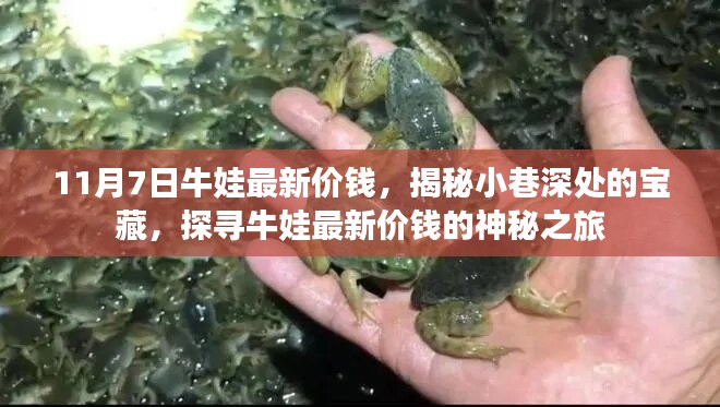容光焕发 第29页