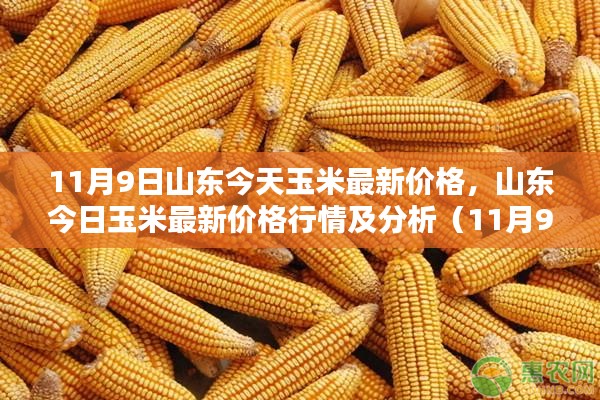 第1793页