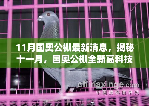 对答如流 第25页
