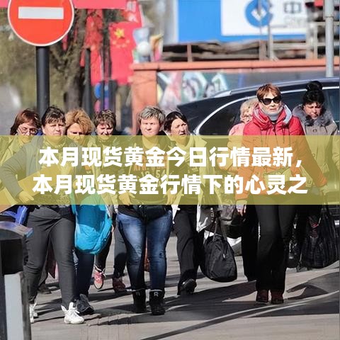 admin 第26页