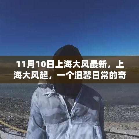 上海大风奇遇记，温馨日常的变幻之旅（11月10日最新）