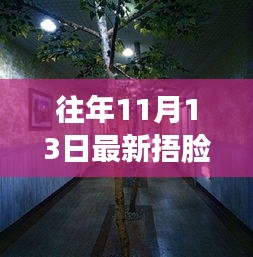 走马观花 第22页