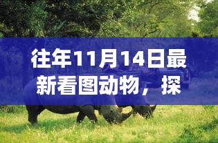 在线留言 第268页