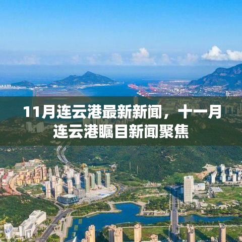 关于我们 第264页