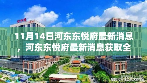 容光焕发 第20页