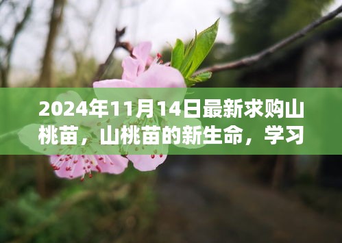 admin 第21页