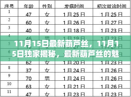 独家揭秘，最新葫芦丝的魅力与独特之处（11月15日更新）
