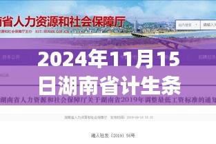 探秘湖南小巷特色小店，2024年湖南省计生条例下的独特风情与最新条例解读
