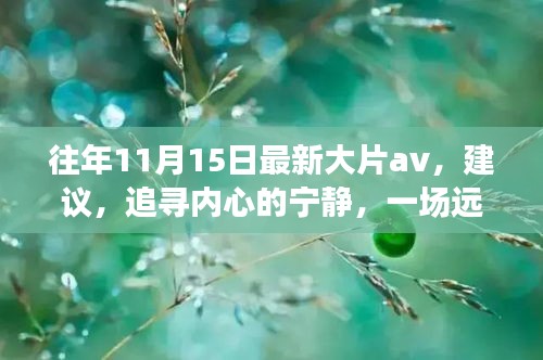 浅笑轻吟梦一曲 第17页