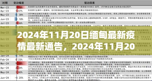 关于我们 第243页