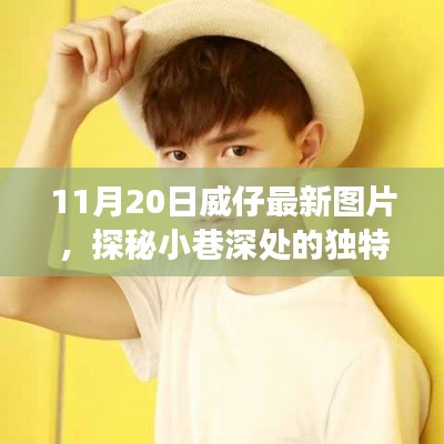 营销网络 第244页