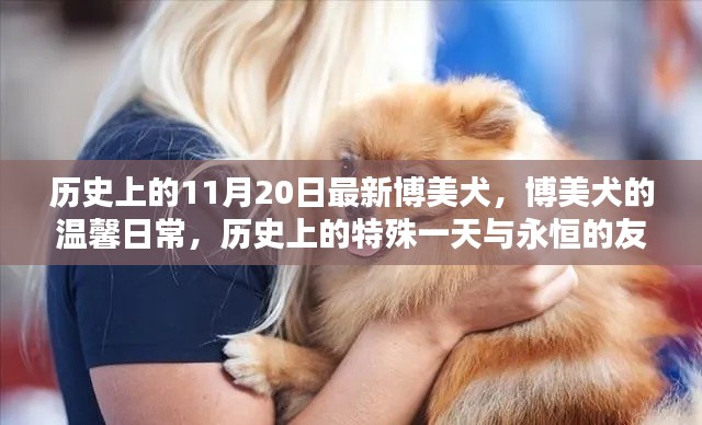 在线留言 第235页