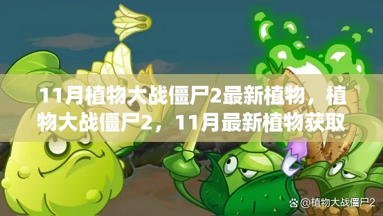 森久 第16页