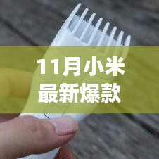 走马观花 第15页