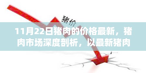 11月22日猪肉的价格最新，猪肉市场深度剖析，以最新猪肉价格动态为视角（11月22日评测报告）