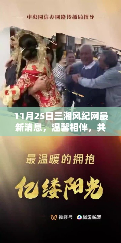 走马观花 第14页