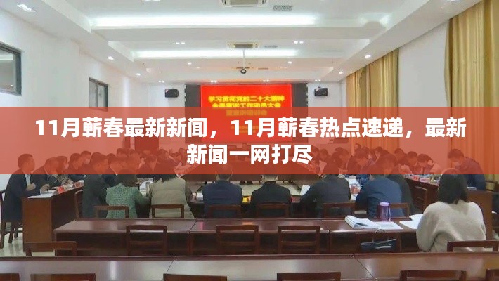 11月蕲春最新新闻，11月蕲春热点速递，最新新闻一网打尽