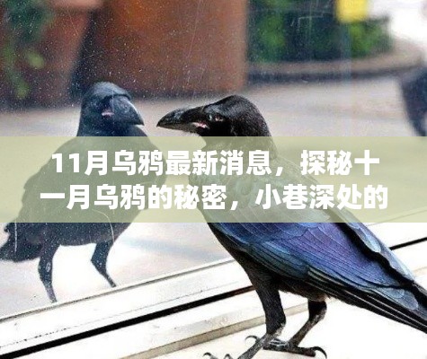 江南烟雨断桥殇 第13页
