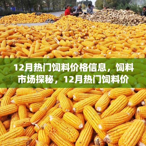 12月热门饲料价格探秘，市场走势与欢乐追踪