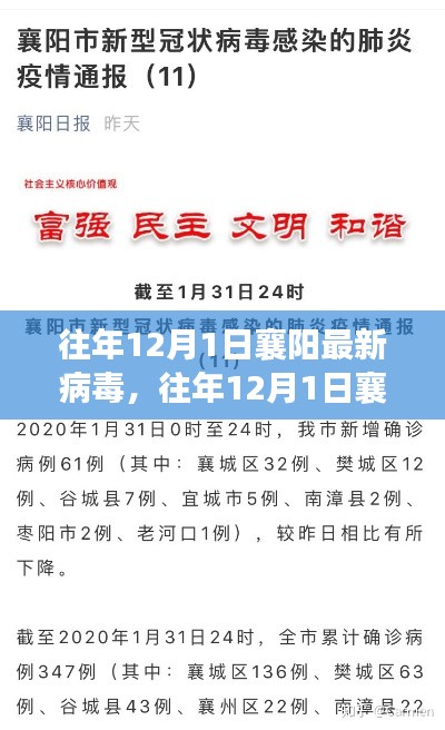 深度解析，往年12月襄阳病毒情报及应对策略揭秘