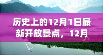 九死一生 第9页
