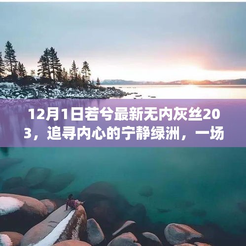 第1230页