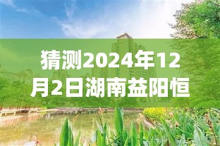 湖南益阳恒大绿洲的温馨日常，友情、爱与陪伴的奇妙故事（最新预测）