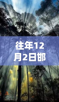 往年12月2日邯郸最新怡情，邯郸怡情，在冬日暖阳里寻找心灵的绿洲