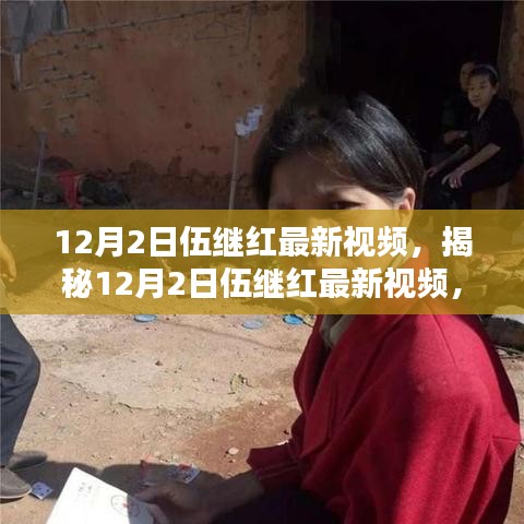 揭秘伍继红最新视频，内容与亮点前瞻（12月2日更新）