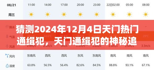 天门神秘通缉犯追踪背后的爱与陪伴故事，预测2024年12月4日热门通缉犯动向