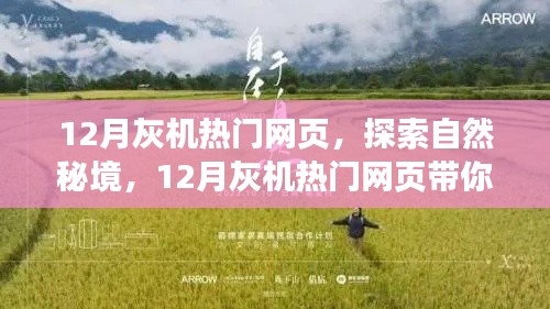 浅笑轻吟梦一曲 第4页