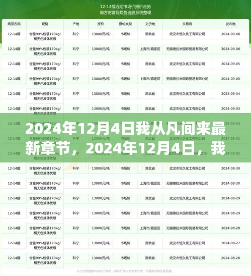 探索未知世界的奇幻之旅，2024年12月4日遇见凡间最新章节