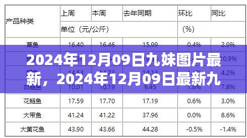 接连不断 第2页