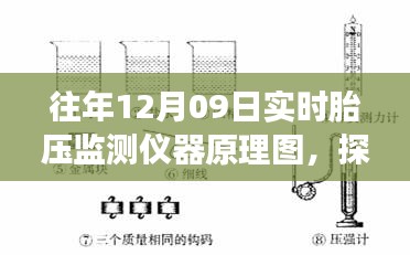 鸟语蝉鸣 第2页