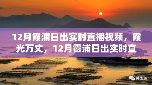 犯而不校 第2页