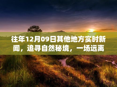 拾金不昧 第2页