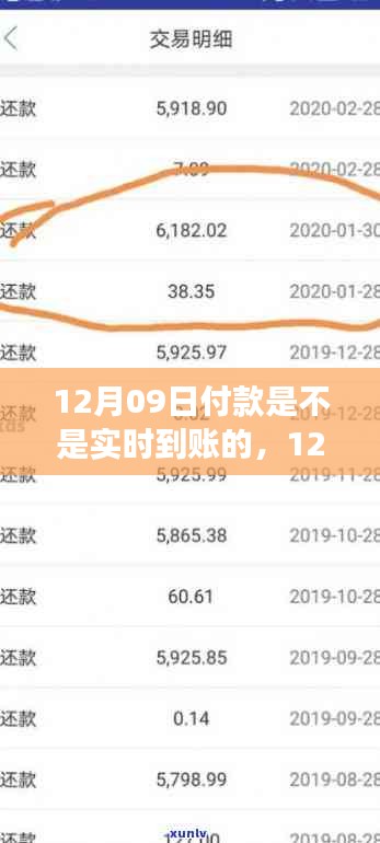 12月09日付款实时到账详解，性能评测与深度剖析