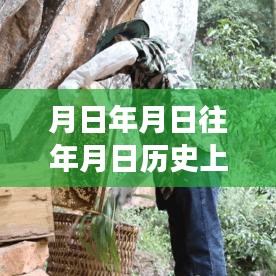 关于我们 第142页