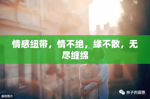 地老天荒 第2页