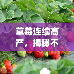 乌鸟之情 第2页